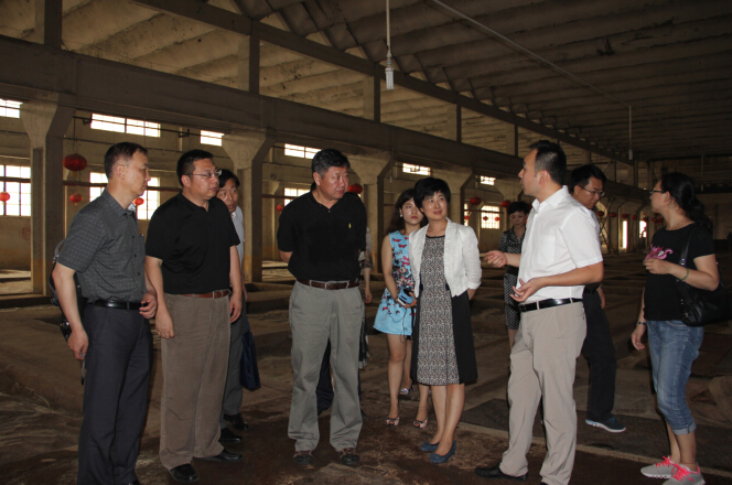 山東省文物局領(lǐng)導視察心心酒業(yè)